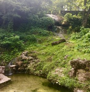 Hot Springs National Park Where to Eat Kitchen Gone Rogue